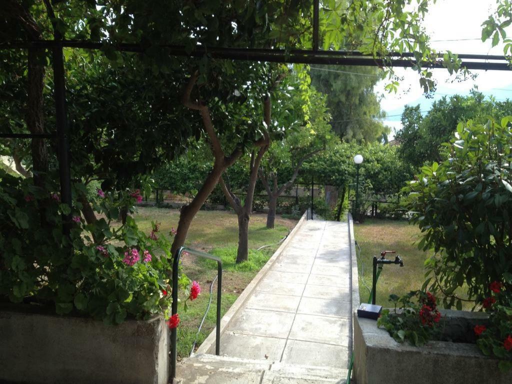 Soile Georgia Apartment Loutra Edipsou  Luaran gambar